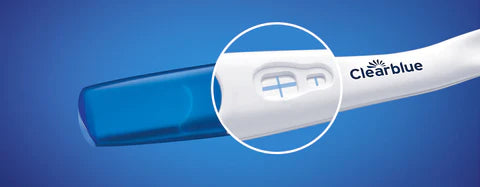 Clearblue graviditetstest hurtig påvisning med kryds